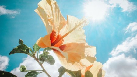 Sabah Bakıda 21 dərəcə isti olacaq