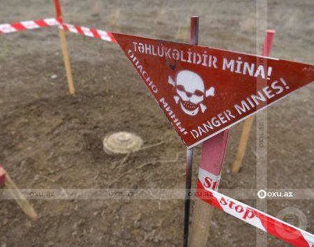 Ağdamda minadan təmizlənmiş ərazilərin sahəsi AÇIQLANDI