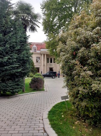 Alimpaşa Məmmədov Bakıya gətirildi: DTX tərəfindən SAXLANILIB - FOTO