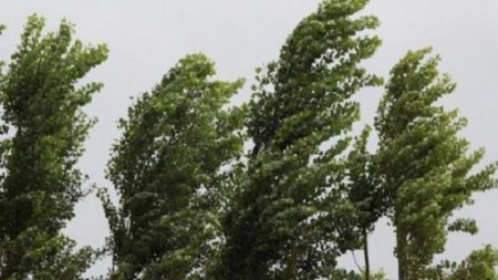 Agentlikdən hava şəraiti ilə bağlı xəbərdarlıq