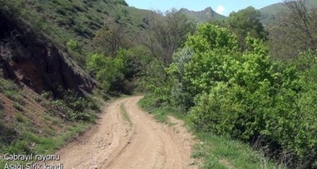 Cəbrayılın Aşağı Sirik kəndinin görüntüləri - Video