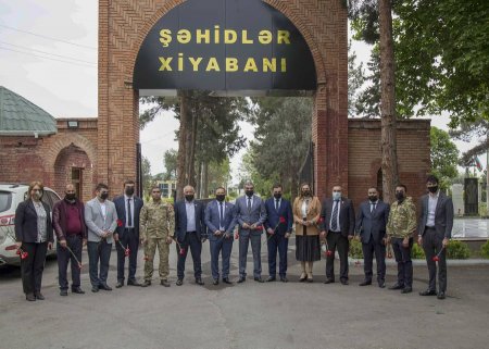 Vətən  Müharibəsi Əlillərinə Kömək İctimai Birliyinin şəhid ailələrinə diqqət və qayğı proqramı davam edir - FOTOLAR