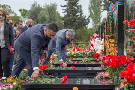 Vətən  Müharibəsi Əlillərinə Kömək İctimai Birliyinin şəhid ailələrinə diqqət və qayğı proqramı davam edir - FOTOLAR