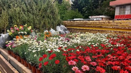 Nəsimi rayonunda Ulu Öndər Heydər Əliyevin anadan olmasının 98-ci ildönümünə həsr olunmuş videoformatda müşavirə keçirilib -FOTO