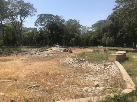 Nəsimi rayonu Vaqif prospekti boyunca yerləşən parklarda  və yaşıllıq zolaqlarında abadlıq işlərinə başlanılıb -FOTO