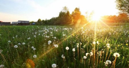 Sabah 36 dərəcə isti olacaq