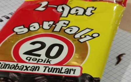 “Vəkiloğlu” MMC-yə məxsus günəbaxan tumlarından qurd çıxdı... - FOTO