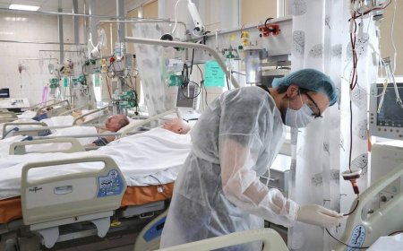 Gürcüstanda COVID-19-a 741 yeni yoluxma qeydə alınıb 