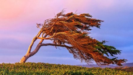 Hava xəbərdarlığı: Temperatur düşəcək, yağış yağacaq, güclü külək əsəcək