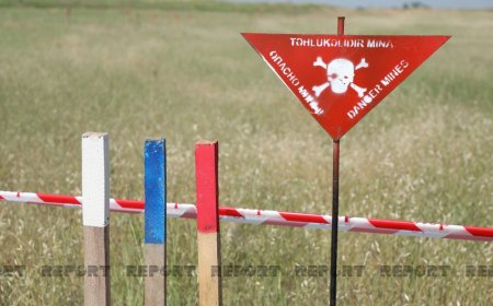 Azad olunan ərazilərdə aşkarlanan minaların sayı açıqlanıb