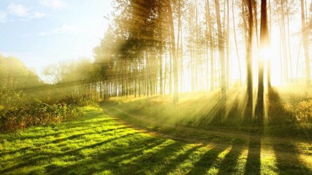 İyul ayına olan hava proqnozu açıqlandı