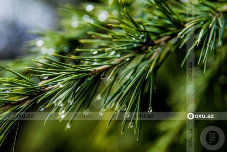 Nazirlikdən hava ilə bağlı XƏBƏRDARLIQ