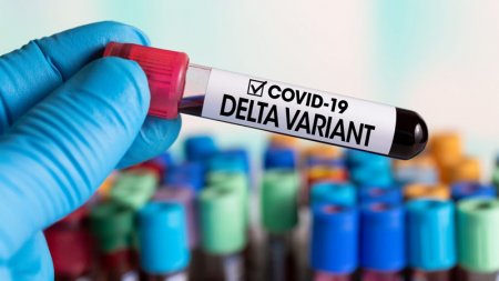 “Delta” ştammı neçə ölkəyə yayılıb?