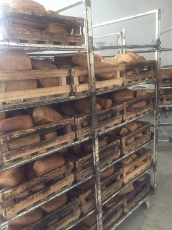 Bakıda bərbad vəziyyətdə fəaliyyət göstərən çörək sexi aşkarlanıb - FOTO