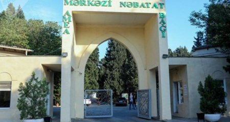 Mərkəzi Nəbatat Bağında dövlət vəsaiti mənimsənilib?