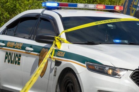 ABŞ-da bir həftədə atışma nəticəsində 430 nəfər öldü