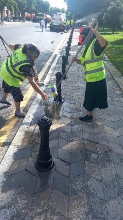 Nəsimi rayonunda ümumrayon iməciliyi keçirilib -FOTOLAR