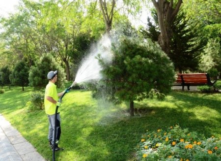 Nəsimi rayonunda ümumrayon iməciliyi keçirilib -FOTOLAR