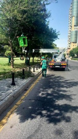 Nəsimi rayonunda ümumrayon iməciliyi keçirilib -FOTOLAR