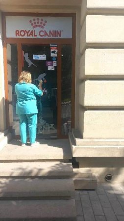 Nəsimi rayonunda ümumrayon iməciliyi keçirilib -FOTOLAR