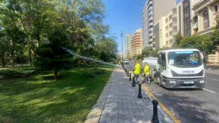 Nəsimi rayonunda ümumrayon iməciliyi keçirilib -FOTOLAR