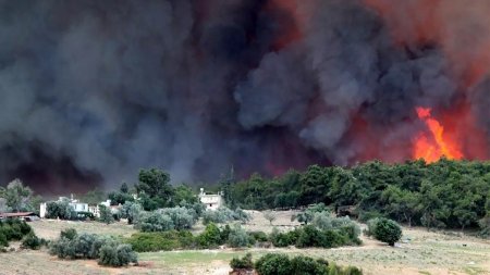 Türkiyədə yanğınlarla bağlı son vəziyyət