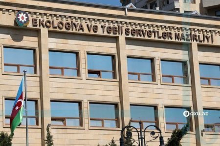 Yardımlıda 3 milyon ağacın qırılması ilə bağlı müraciətin araşdırılmasına tapşırıq verildi - RƏSMİ