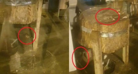 Bakıda ət dükanındakı iyrənc mənzərə ilə bağlı sahibkarlar məsuliyyətə cəlb edildi - Rəsmi