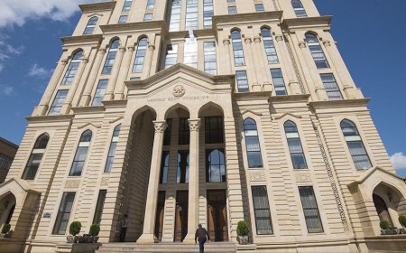 YAP DSK üzvlüyünə 375 namizəd təqdim edib