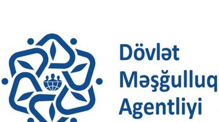 Qarabağ Qazisinə 3 xəstə inək verdilər və... - NARAZILIQ!