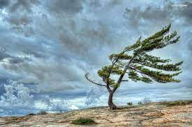 Güclü külək ƏSƏCƏK - Belə deyirlər...