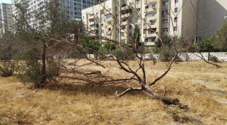 XƏTAİDƏ XARABALIĞA ÇEVRİLMİŞ “UKRAYNA ƏRAZİSİ”... - Vaxtilə park olub