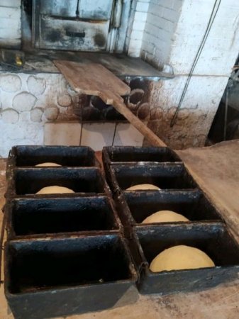 Antisanitar şəraitdə işləyən çörək sexi bağlandı - FOTO