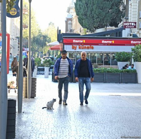 Bakının mərkəzi hissəsinin "siması" adlandırılan Fəvvarələr meydanından FOTOREPORTAJ