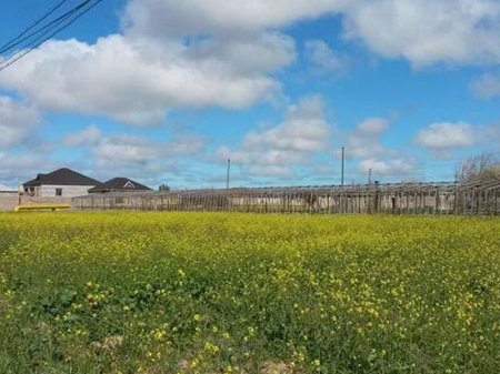 Pay torpaqlarına reyestr çıxarışının verilməsinə görə rüsum tutulmayacaq