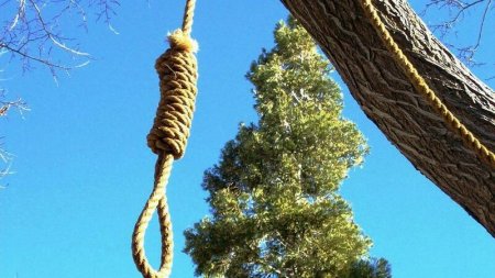 Bakıda məscidin yaxınlığında ağacdan asılmış meyit tapıldı