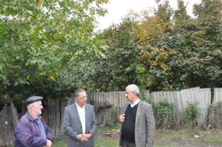 Millət vəkili Zəfər Günü ərəfəsində şəhid ailələri ilə görüşdü - FOTOLAR