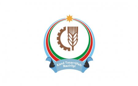 “Beyləqan Kənd Təsərrüfatı İstehsalat Müəssisəsi” MMC rəhbərliyi məhkəmə qarşısında