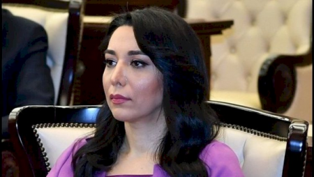 Ombudsman sonuncu erməni təxribatı ilə bağlı beynəlxalq təşkilatlara müraciət etdi