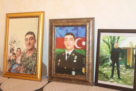 “Gədəbəy İcra Hakimiyyəti bizi torpaqla təmin etdiyini deyir, amma...” - Şəhidimizin xanımı ETİRAZ EDİR