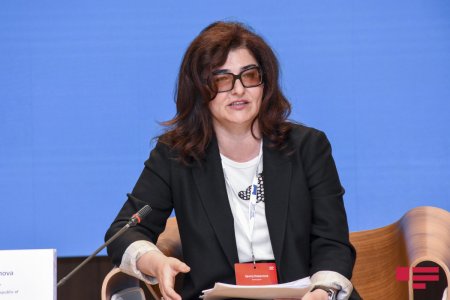 Dövlət satınalmaları ilə bağlı yeni qanun layihəsi hazırlanıb - AÇIQLAMA