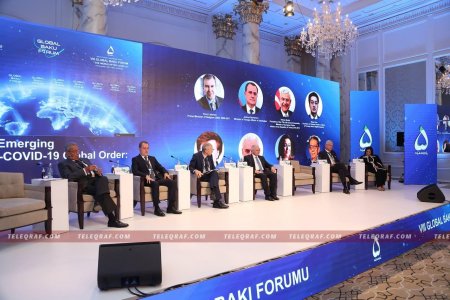 Dünya pandemiyanın nəticələrindən dərs çıxarmalıdır - Danilo Türk