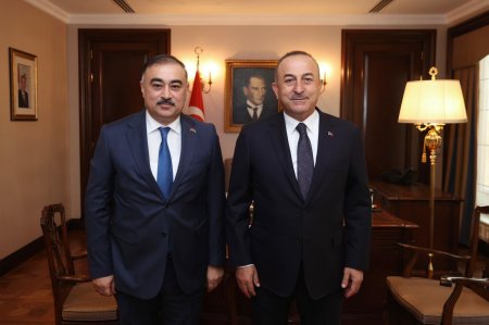 Mövlud Çavuşoğlu Azərbaycan səfiri ilə görüşüdü