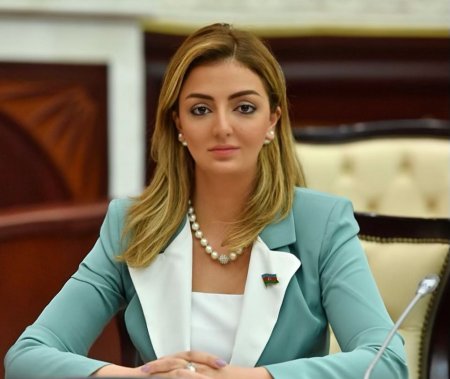 Azərbaycanın son bir əsrdə hərbi, diplomatik uğuru: Bu, tarixi zəfərdir - Açıqlama