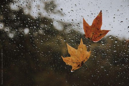 Sabah yağış və qar yağacaq