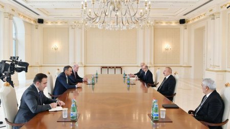 Prezident BP qrupunun baş icraçı direktorunu qəbul etdi