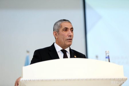 “Əlilliyi ləğv olunan şəxslərə kompensasiya ödənməlidir” - Novruzov