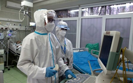 В России снизилось число инфицированных COVID-19