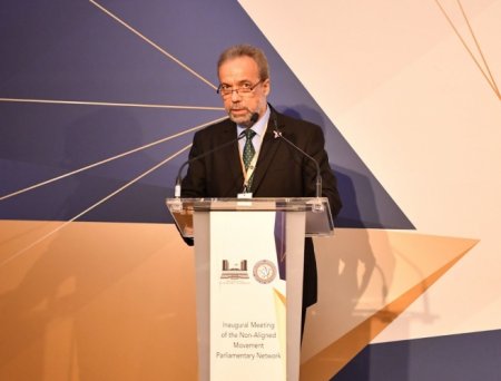 Sahibə Qafarova: Prezident İlham Əliyevin irəli sürdüyü qlobal təşəbbüslər beynəlxalq aləmdə rəğbət və dəstək qazanıb