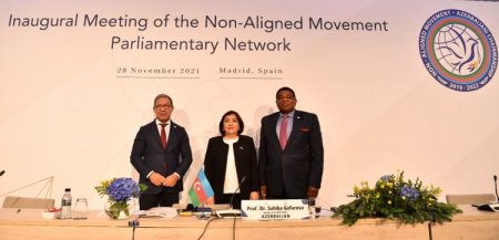 Sahibə Qafarova: Prezident İlham Əliyevin irəli sürdüyü qlobal təşəbbüslər beynəlxalq aləmdə rəğbət və dəstək qazanıb